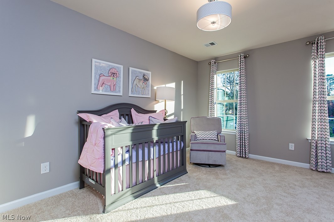 Timber Ridge - Residential