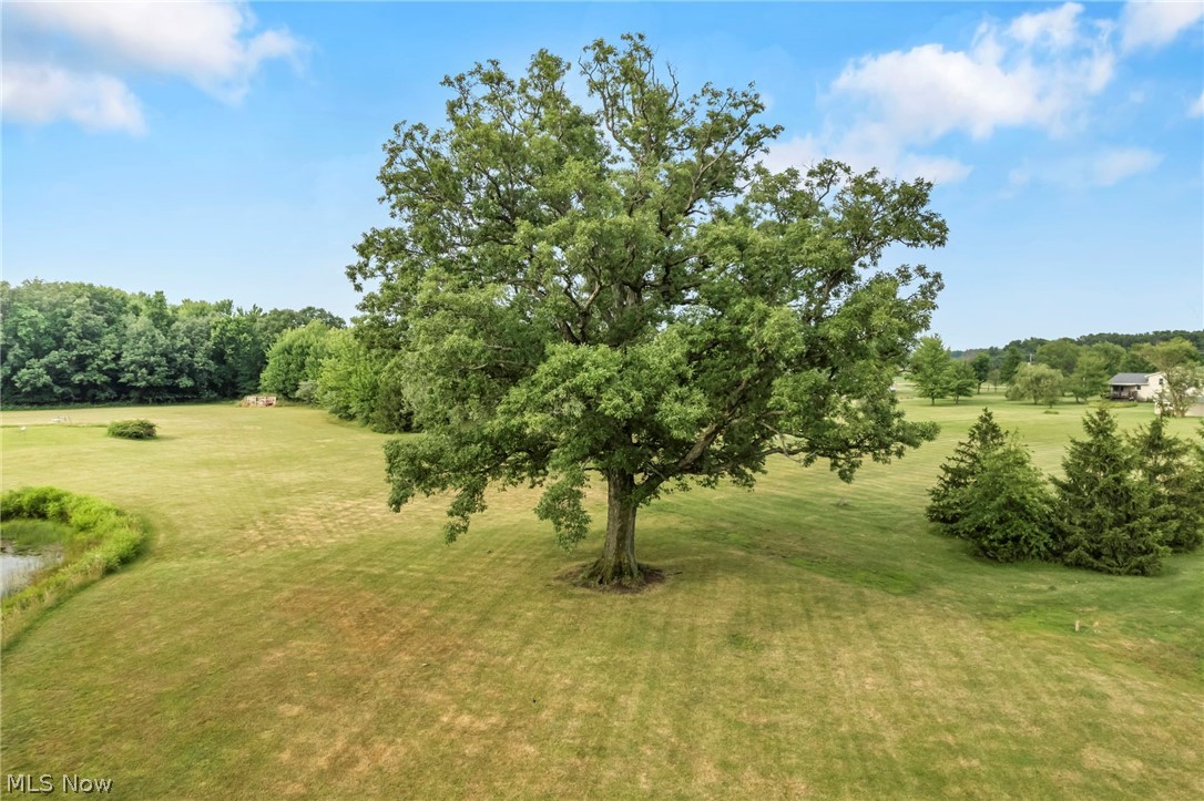 Wellington - Residential