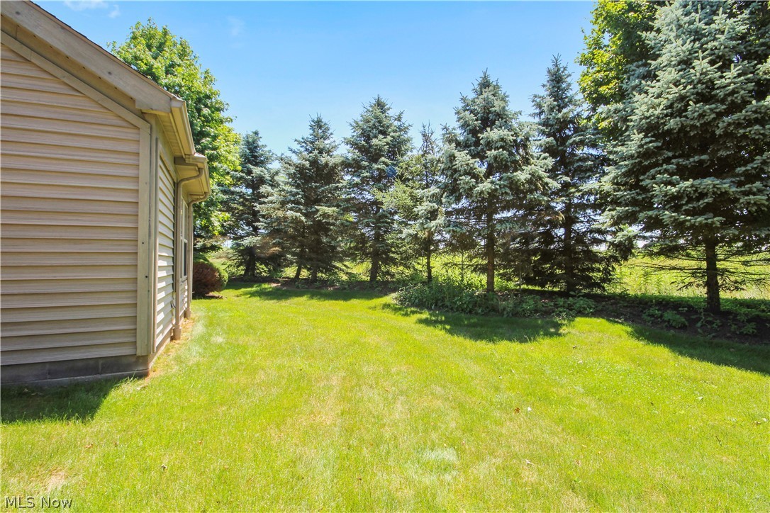 Spring Run Condo - Residential