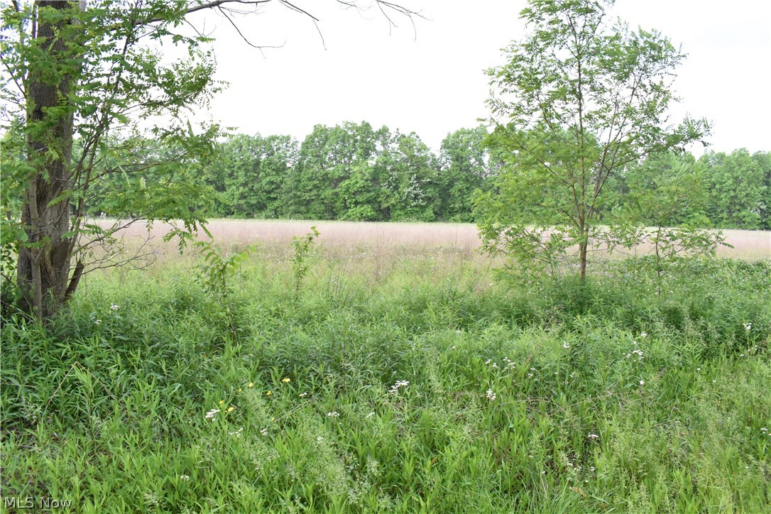 Berlin Township - Land