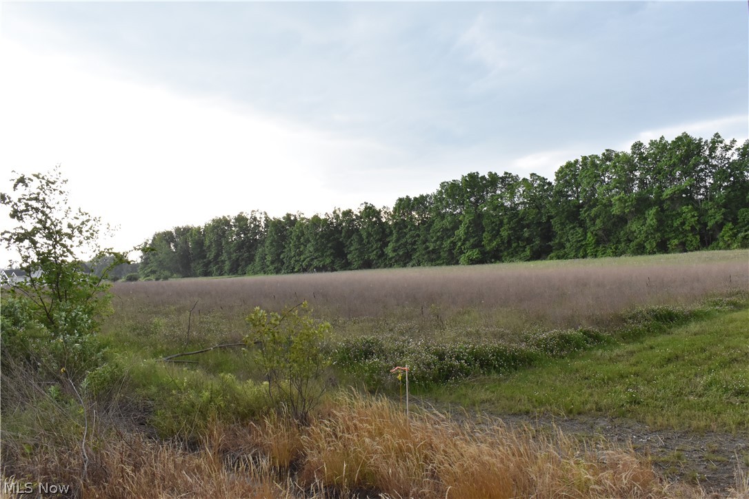 Berlin Township - Land