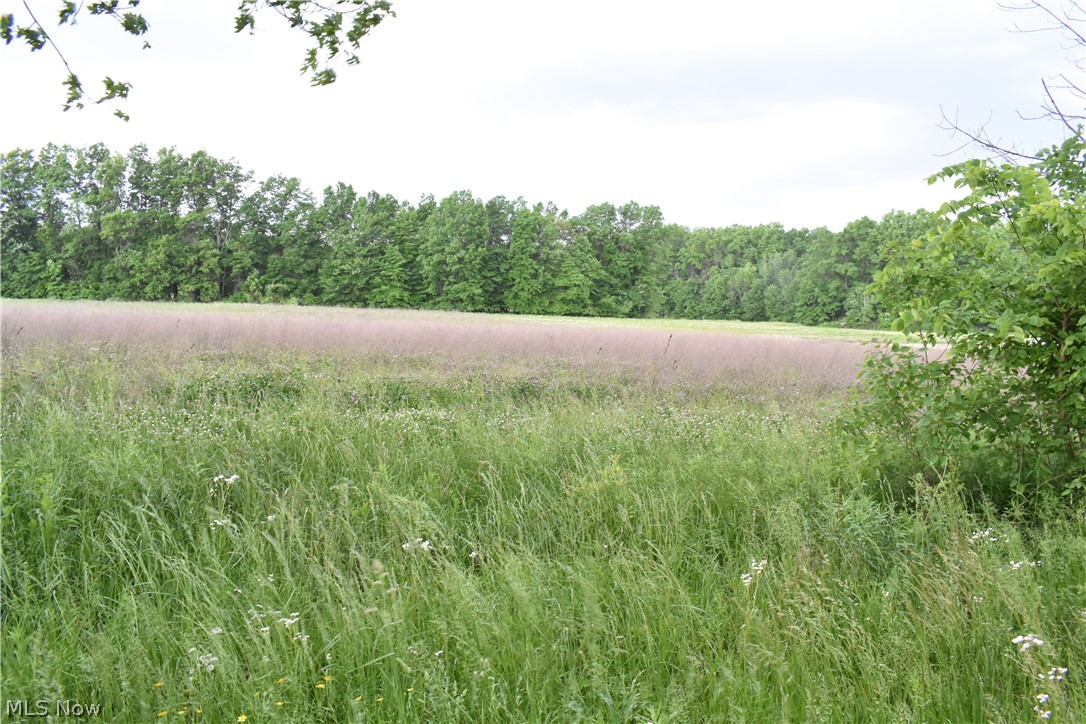 Berlin Township - Land