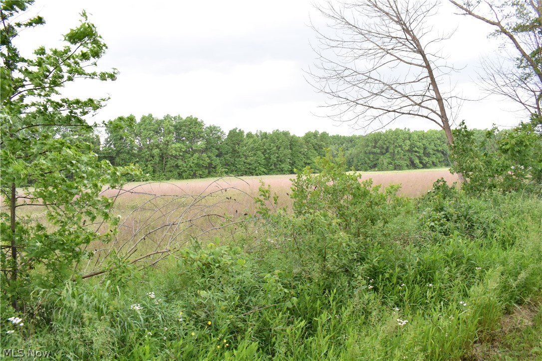 Berlin Township - Land