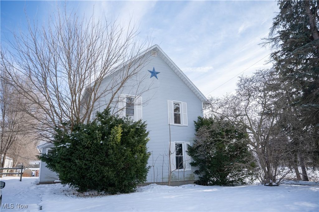 Photo of 133 Harrison Avenue, Swanton, OH 43558 (MLS # 5175940)