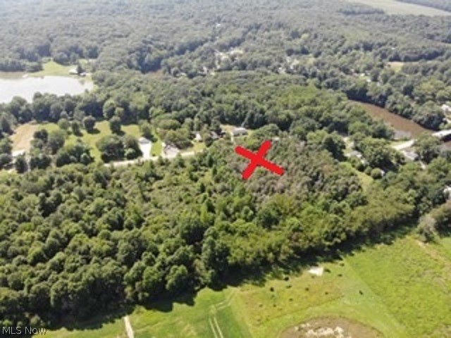 Wilsons Milton Lake - Land