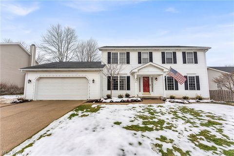 Photo of 955 Lawrence Street, Medina, OH 44256 (MLS # 5187905)