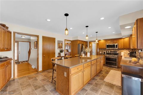 Tiny photo for 955 Lawrence Street, Medina, OH 44256 (MLS # 5187905)