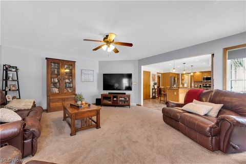 Tiny photo for 955 Lawrence Street, Medina, OH 44256 (MLS # 5187905)