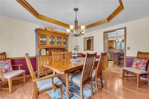 Tiny photo for 955 Lawrence Street, Medina, OH 44256 (MLS # 5187905)