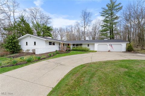 3339 Forest Lake Drive, Medina, OH 44256 - MLS#: 5116626