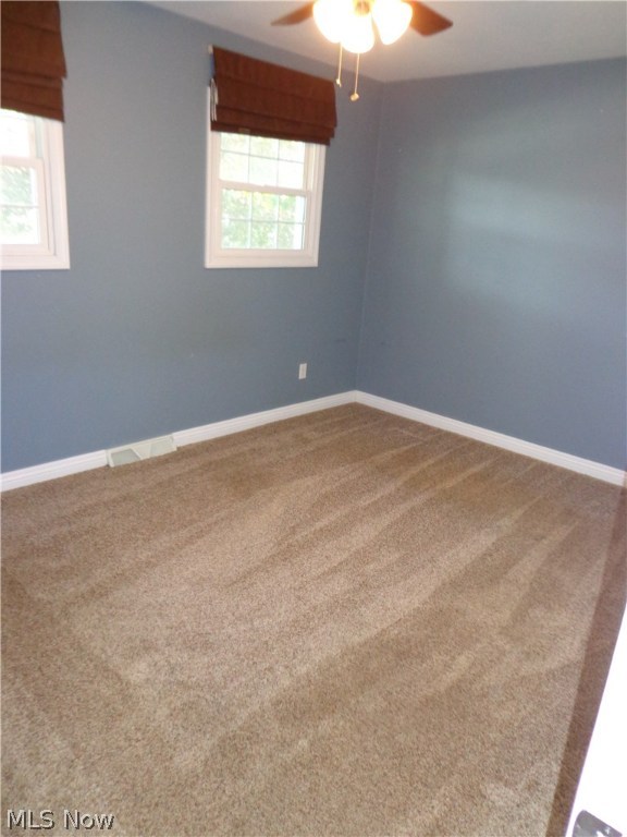 Ridgeville Park - Residential