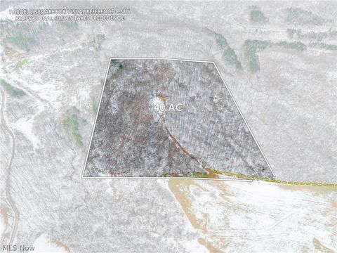 Vacant Land For Sale - 36863 Township Road 10<br/> Noble County, Macksburg, OH 45746