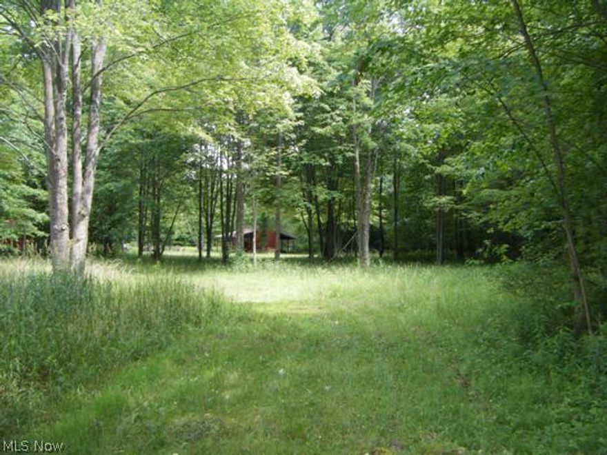 Perfect place for your new home.  18 Acres of wooded terrain, going all the way back to The Western Reserve Greenway bike trail.  An extra bonus is a rustic cabin & 2 garage type buildings in a clearing further back from the road with picnic tables, bird houses, home made spit for barbecue and even a dinner bell to ring to call when the "hot dogs" are done.  Create your own ATV, hiking & snowmobile trails.  A unique Champion property to build your dream home and enjoy the extra perks.