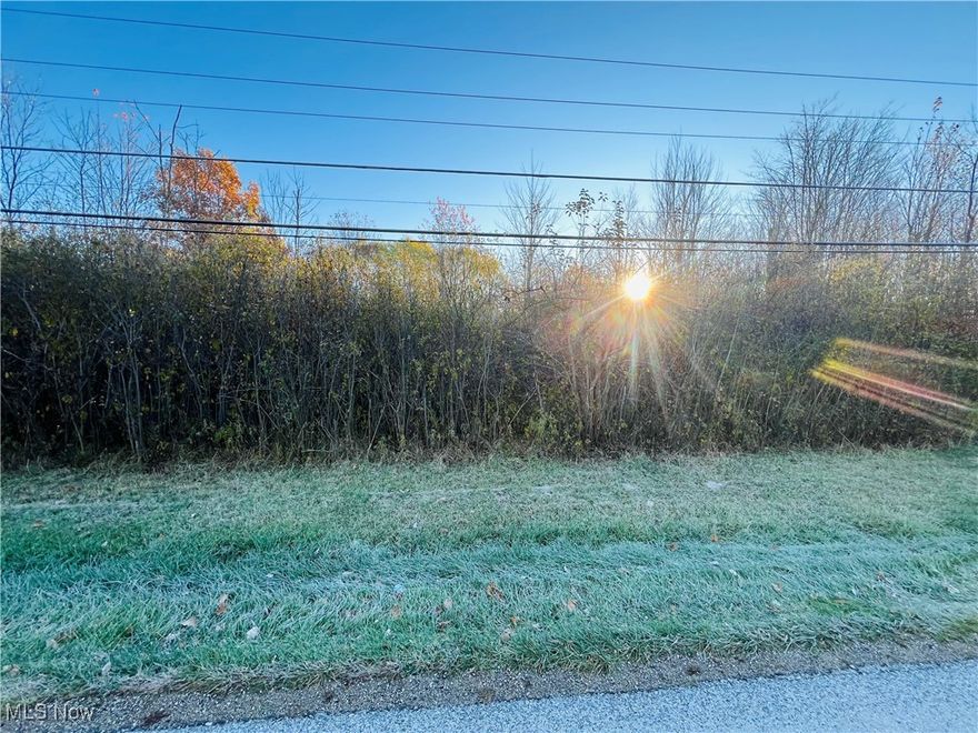 Great Buildable lot waiting for you, all utilities at street. Enjoy the Lake Community with owning a lot, plan a second home or Build a Dream Home~ Options are endless! Make an appointment today to see this lot