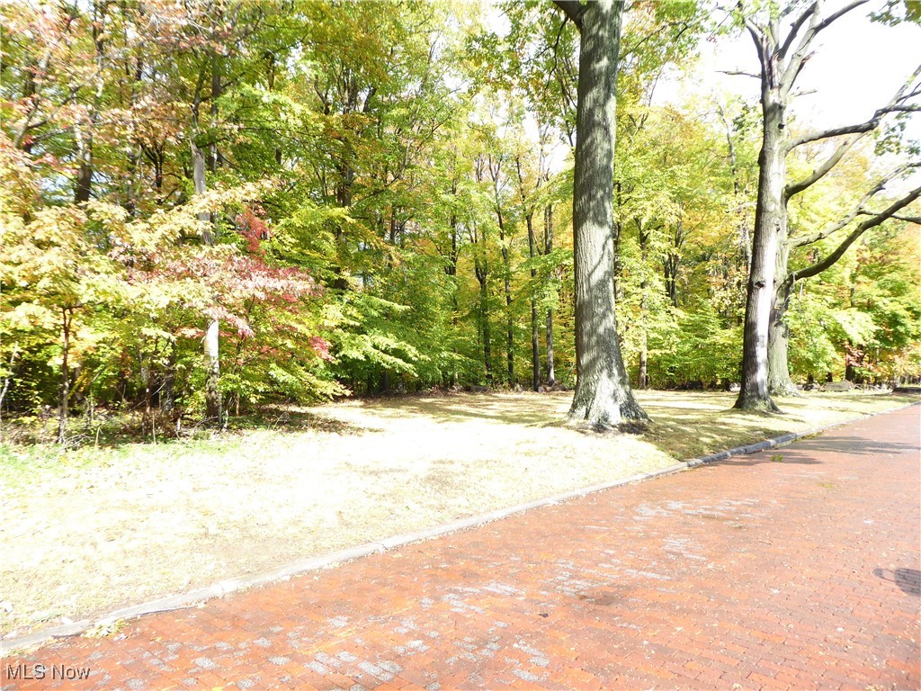 Old Brooklyn - Residential