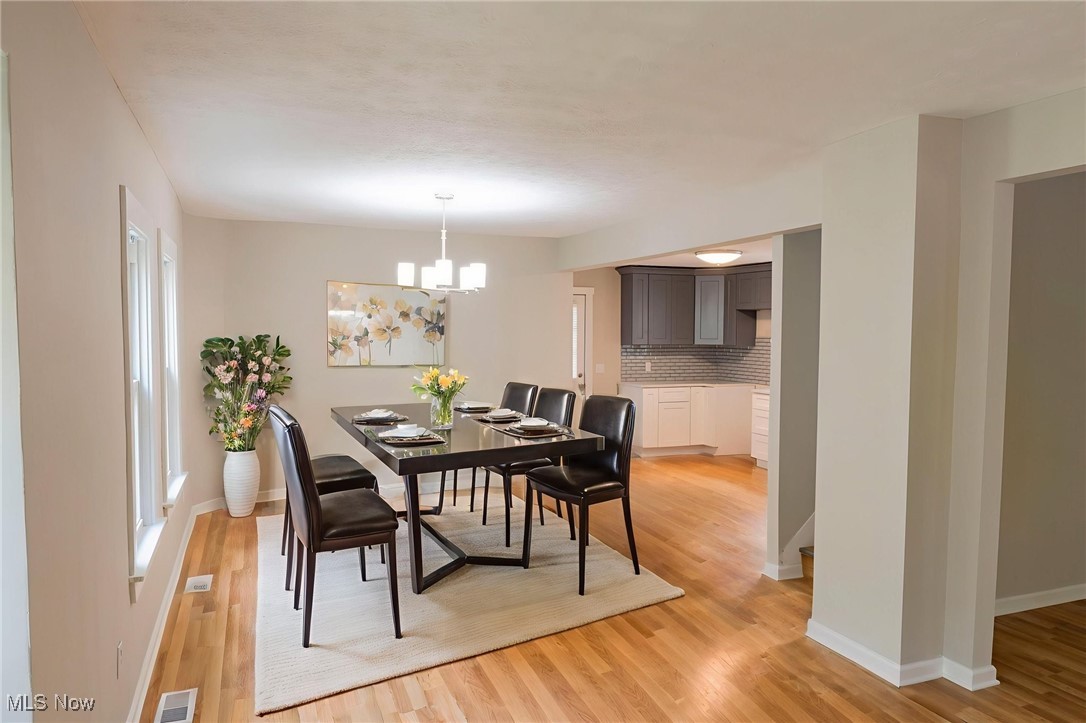 Old Brooklyn - Residential