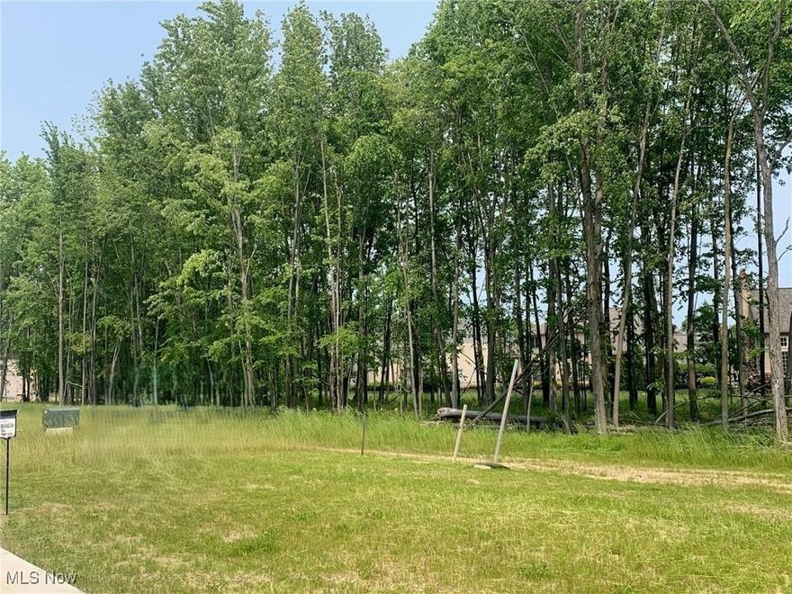 Lot 171 is a beautiful, almost 1/2 acre homesite available for your custom build* in the prestigious development of Lake Forest.  This well-established and highly coveted community of luxury homes boasts a premier Westlake location, situated off the north side of Schwartz Rd, 0.3 miles west of Bradley Rd.  Just 1.3 miles south of I-90, this neighborhood boasts the ultimate in convenience and is minutes from Crocker Park, various country clubs and golf courses, fine dining, Bradley Nature Park, Cleveland Yachting Club, and more. Now in its final phase, this is one of the few remaining opportunities to build new! This homesite requires your custom home to be built with Petros Homes*, one of Northeast Ohio's largest and most reputable custom builders.  Architectural design and square footage requirements apply.  Contact Petros Homes for details. Additional homesites available for purchase.