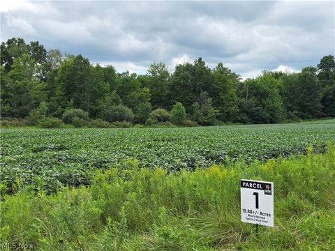 Photo of 1 Norton Rd, Garrettsville, OH 44231 (MLS # 5239515)