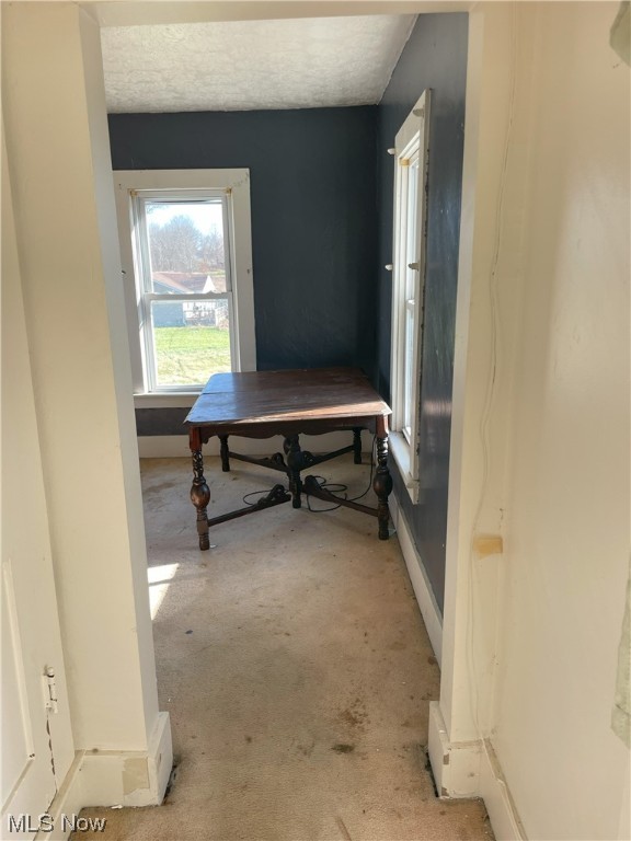 Braceville Township Original Sec 10 - Residential Income