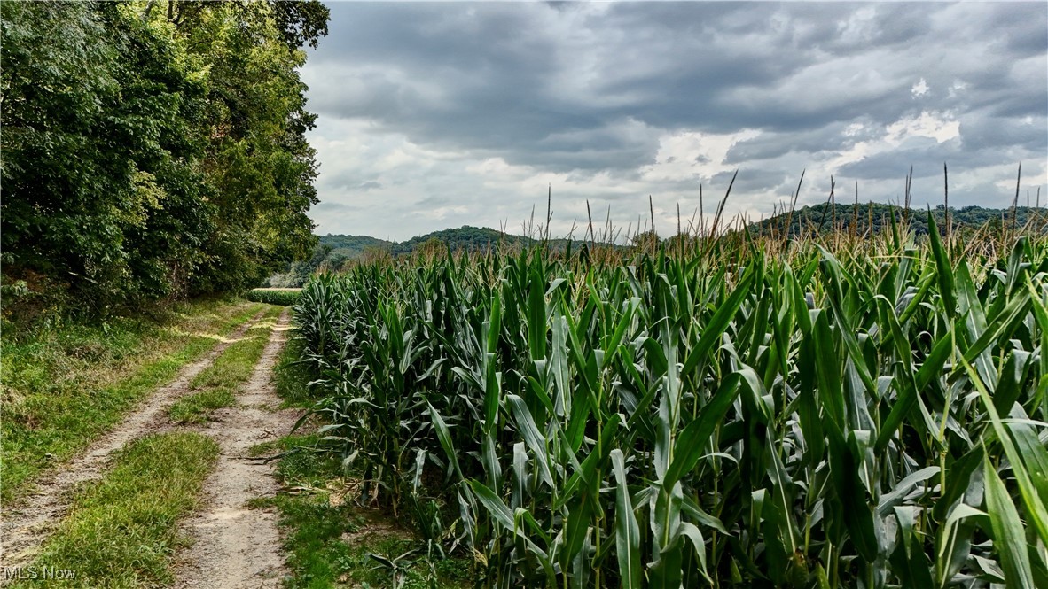 Porter Road, Atwater, Ohio image 3