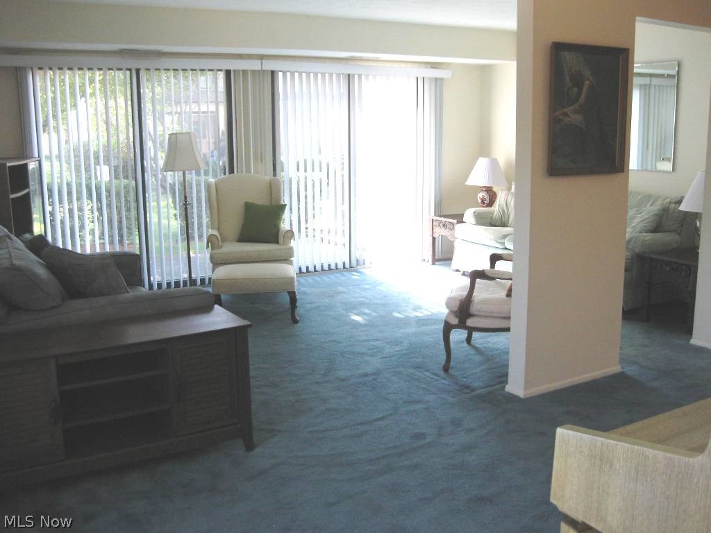 Misty Lake Village - Residential