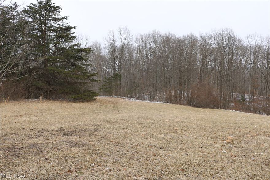 A nice affordable tract of land a few minutes south of Portersville on the east side of State Route 555.. Also good frontage on Morganville Rd. Check this place  out for your own hunting paradise. This property has some marketable timber and would have a couple very nice home sites. Walk the property at your convenience and bring your offers to the table..