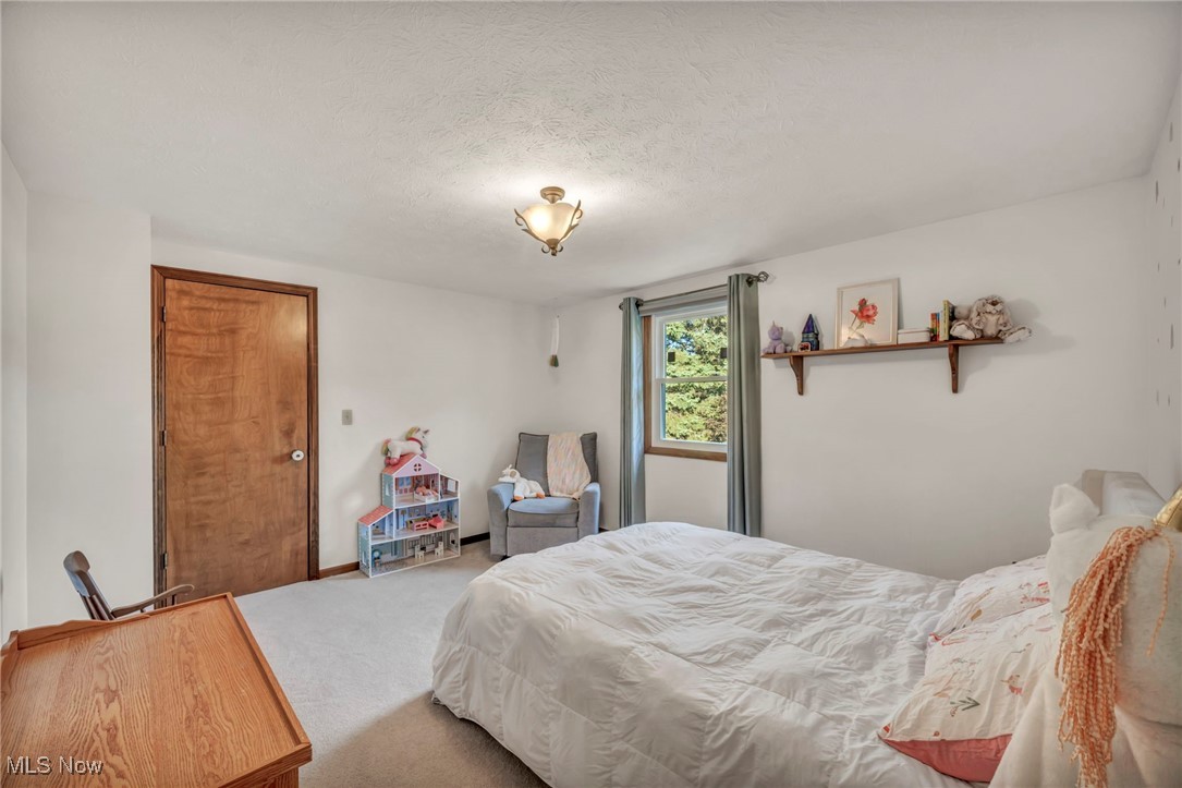 Decourcey Road Allotment - Residential
