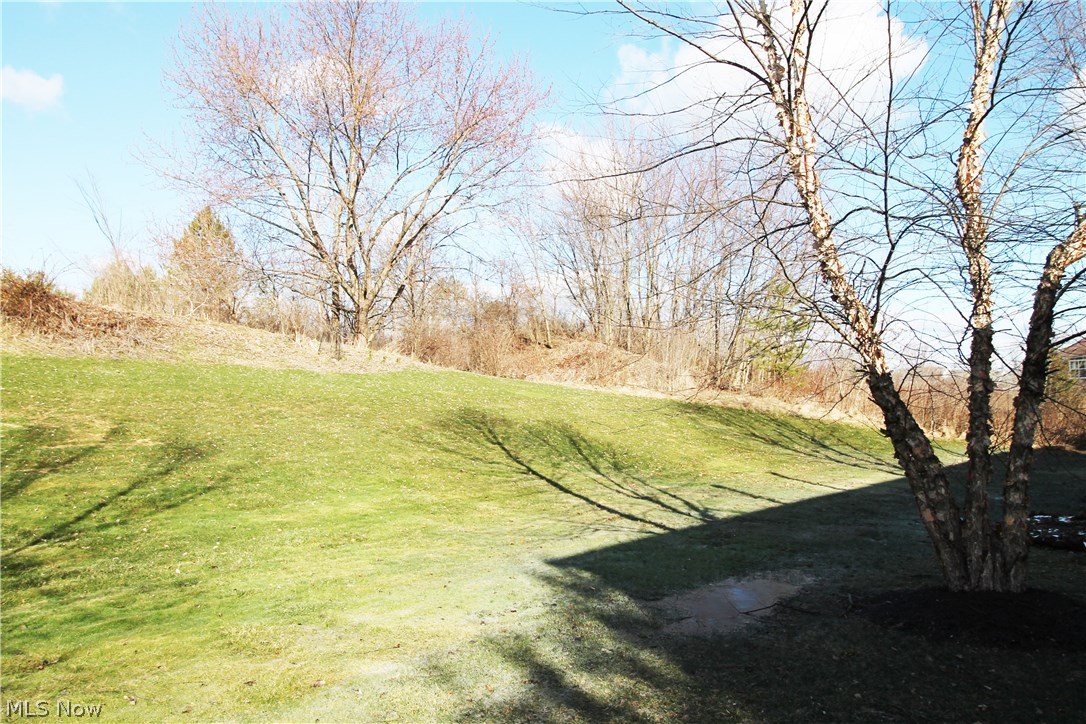 Meadows/Copley Allotment - Residential