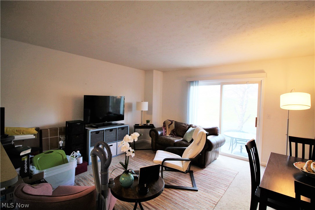 Meadows/Copley Allotment - Residential