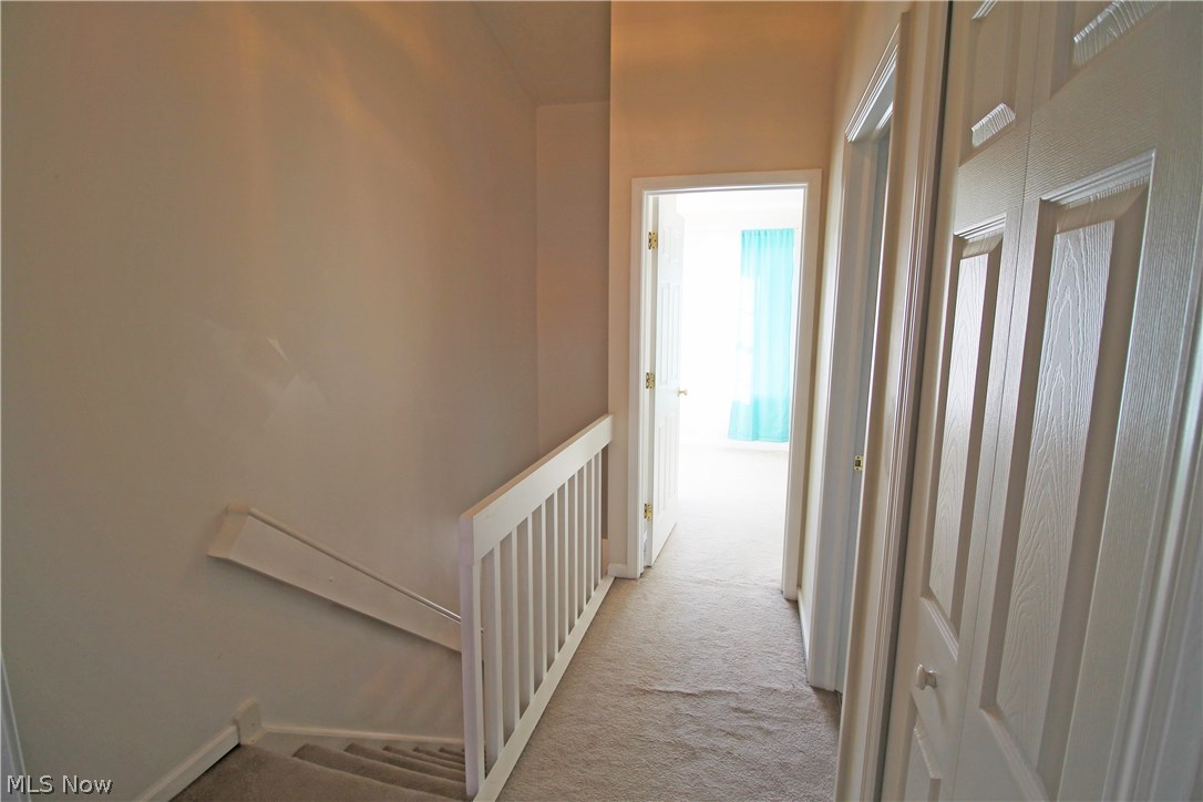 Meadows/Copley Allotment - Residential