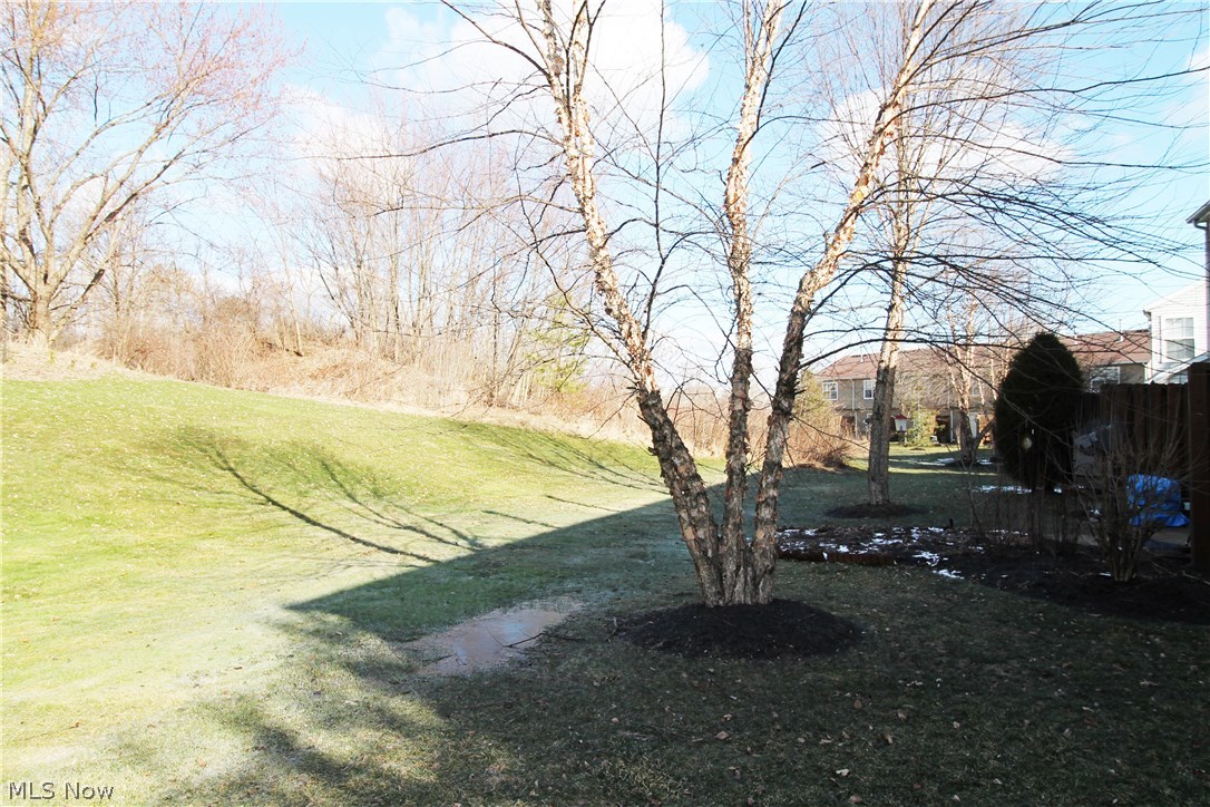 Meadows/Copley Allotment - Residential