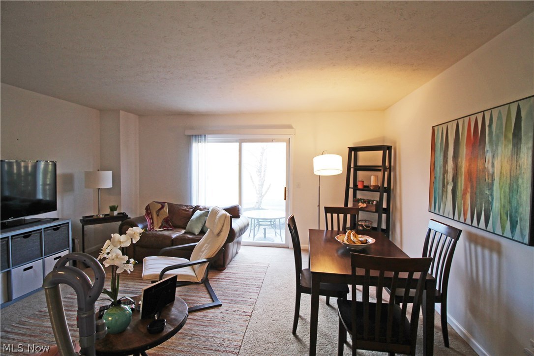 Meadows/Copley Allotment - Residential