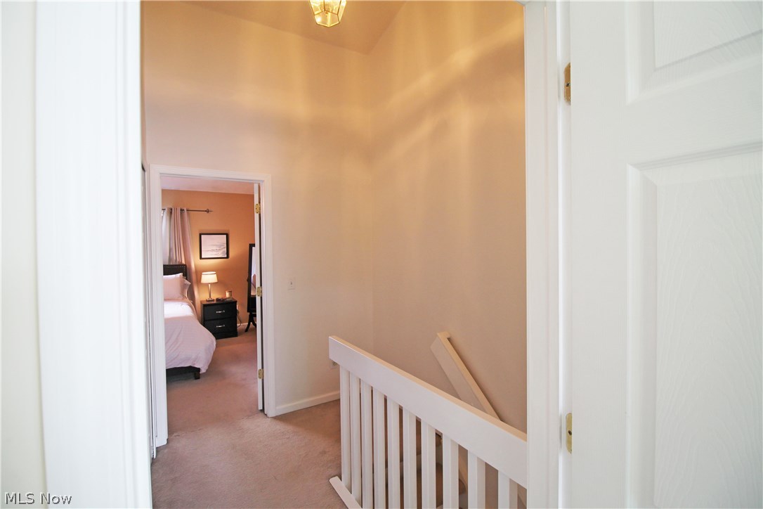 Meadows/Copley Allotment - Residential