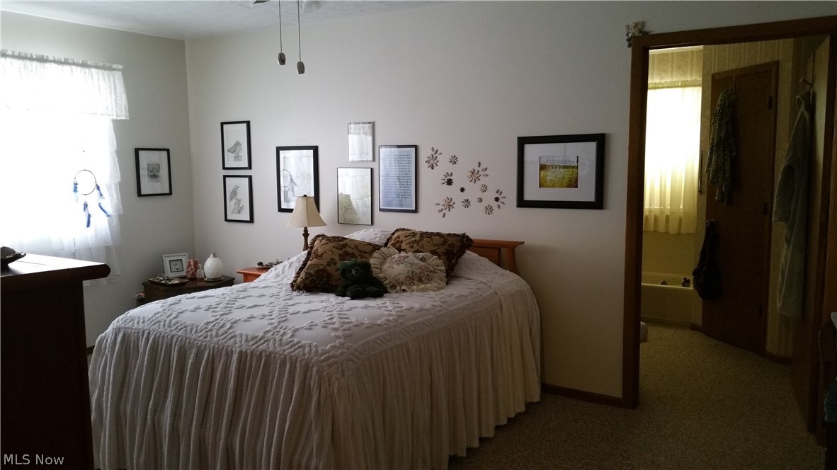 Surrey Hills - Residential