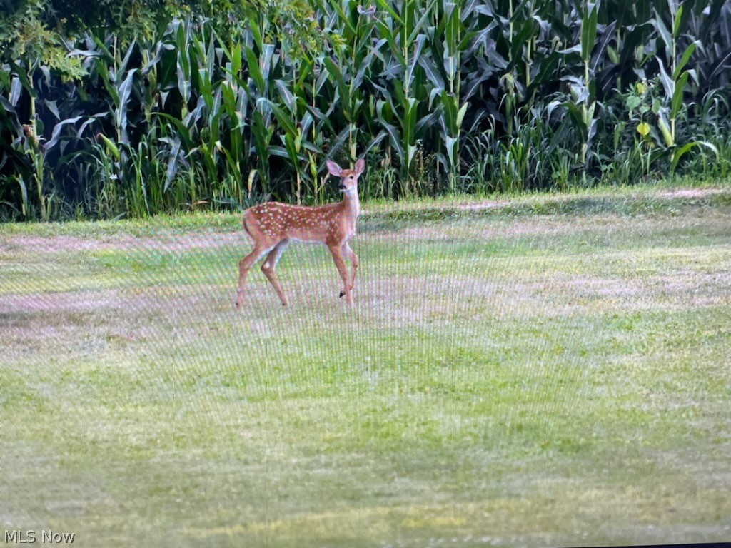 Pleasant Valley Acres Sub Place 1 - Residential
