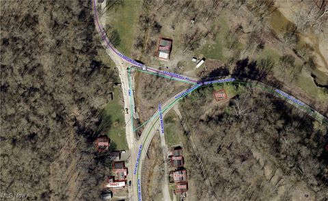 Vacant Land For Sale - Fulton Hill Road<br/> Bellaire, OH 43906