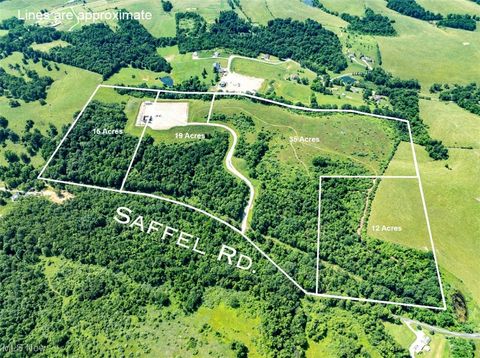 Vacant Land For Sale - 35 ACRES Saffell Road<br/> Belmont, OH 43718