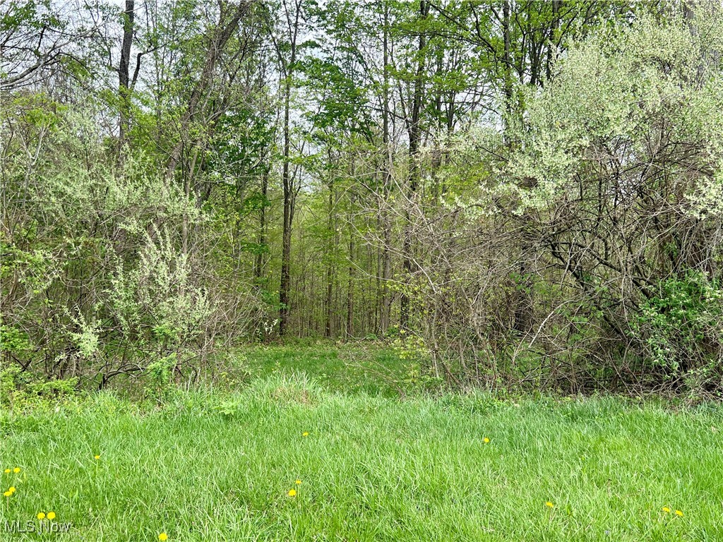 6550 N State Route 78, Mcconnelsville, Ohio image 14