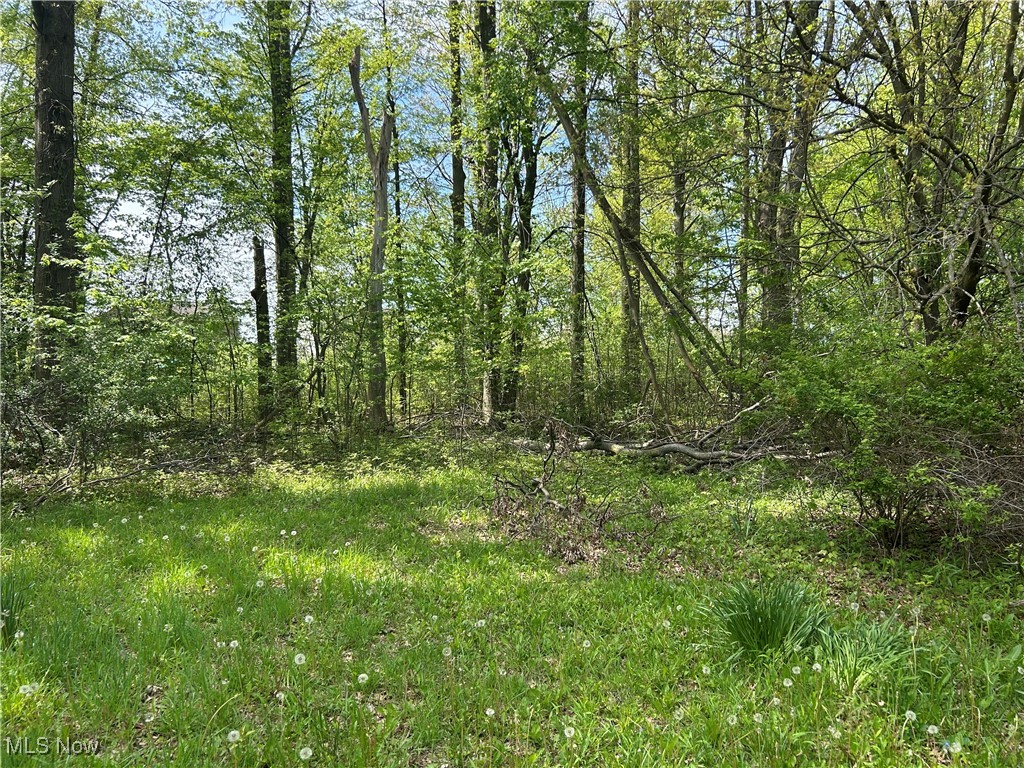 27272 Sprague Road