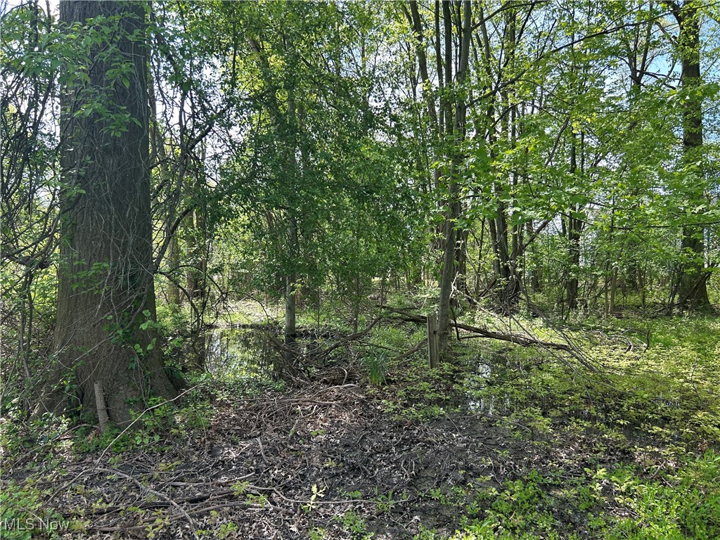 27272 Sprague Road