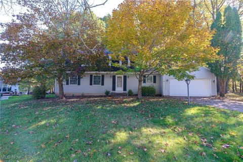 10143 Deer Run, Brecksville, OH 44141 - #: 5167429