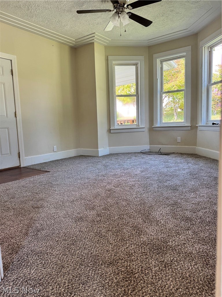 1104 Williams Street - Photo 3