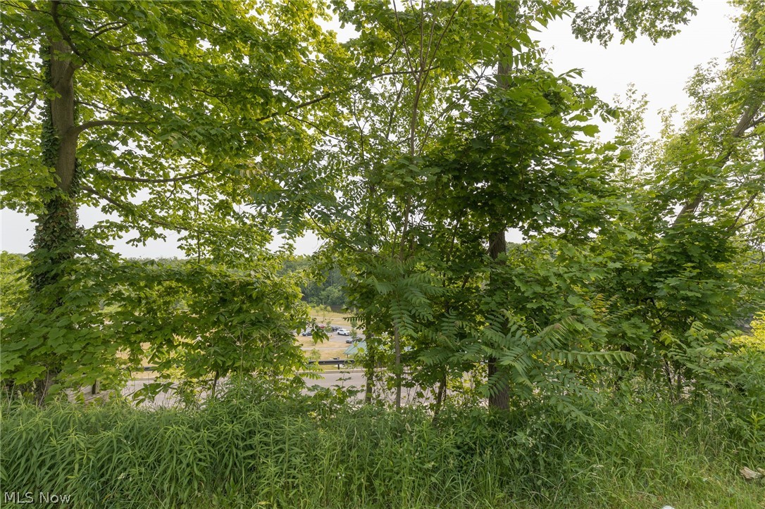 West/Black River - Land