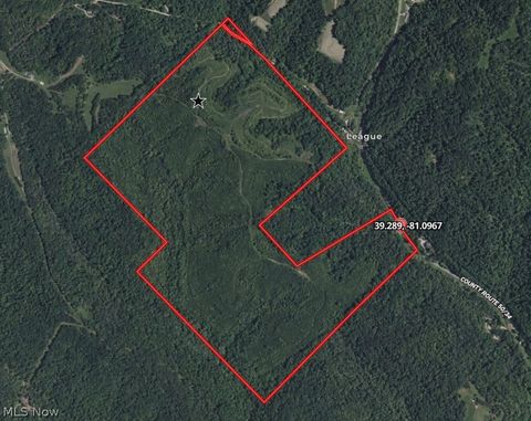 Vacant Land For Sale - Glendale Pike<br/> Ellenboro, WV 26337