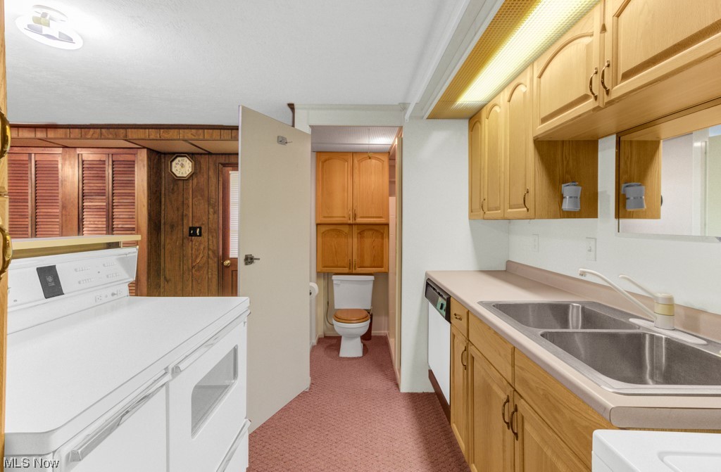 Cope Allotment - Residential