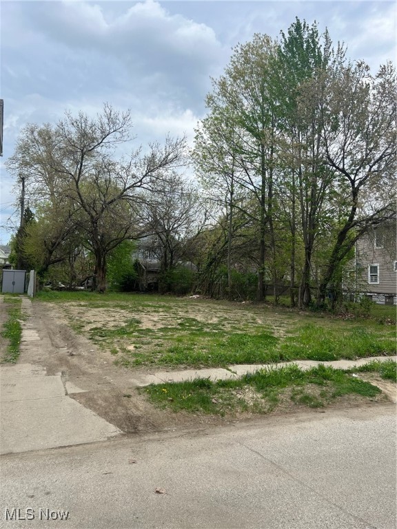10213 Hampden Avenue, Cleveland, Ohio image 2