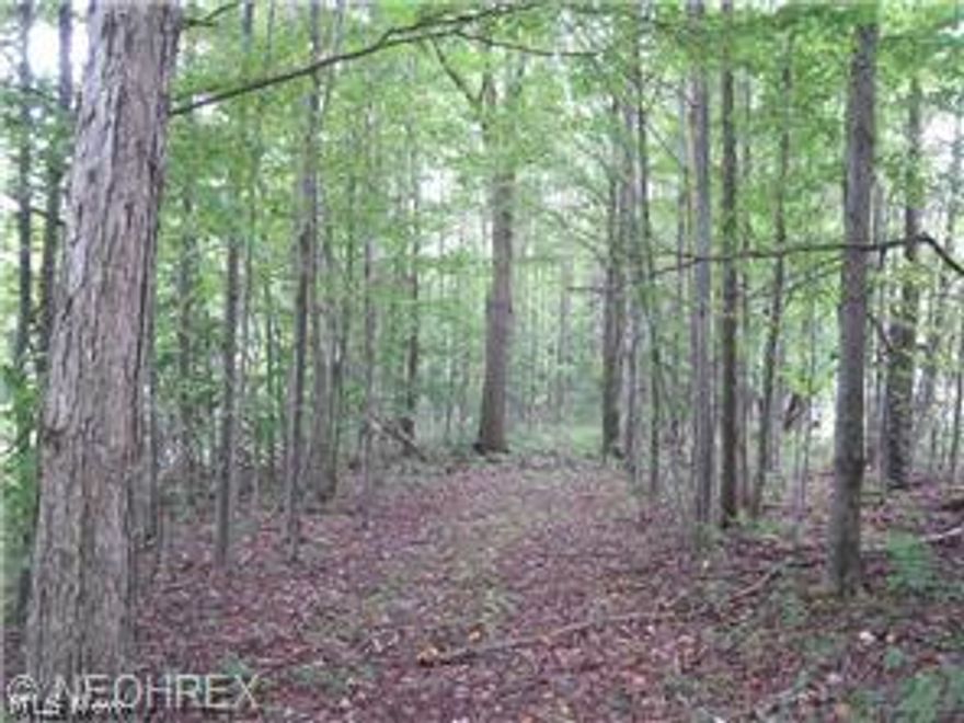 All MINERAL RIGHTS TRANSFER to new buyer! This 25 rolling acre parcel is waiting for you to build your dream home on. Beautifully wooded and complete with a creek than runs through property.  Front property markers are visible.  Electric is at the street.
