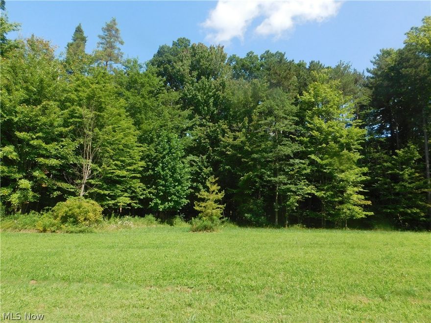 What an amazing lot for an amazing dream home. This beautiful 5 acre lot has much to offer with a sloping ravine backing up to a creek. Lot is fully improved with water, sewer, gas and electric. This lot has the possibility of a walk out basement as well. You have the option to build with any builder you choose and only subject to the deed restrictions. Please, make an appointment to come and see this wonderful lot and imagine the possibilities. You will not be disappointed!