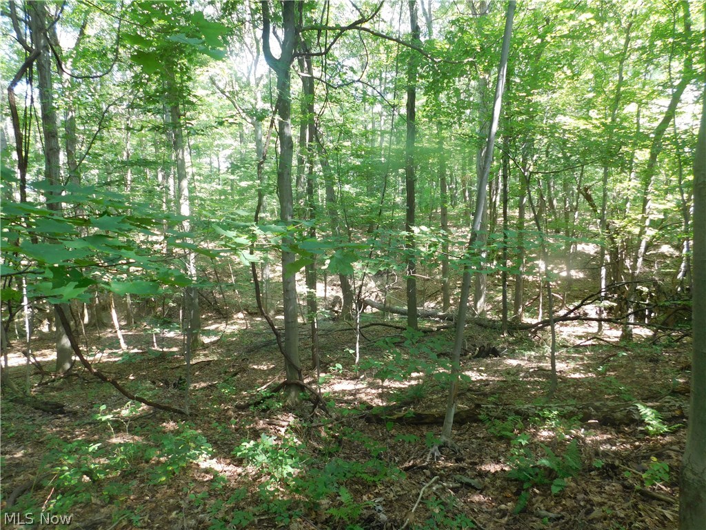 Woods/Arbor Glen - Land