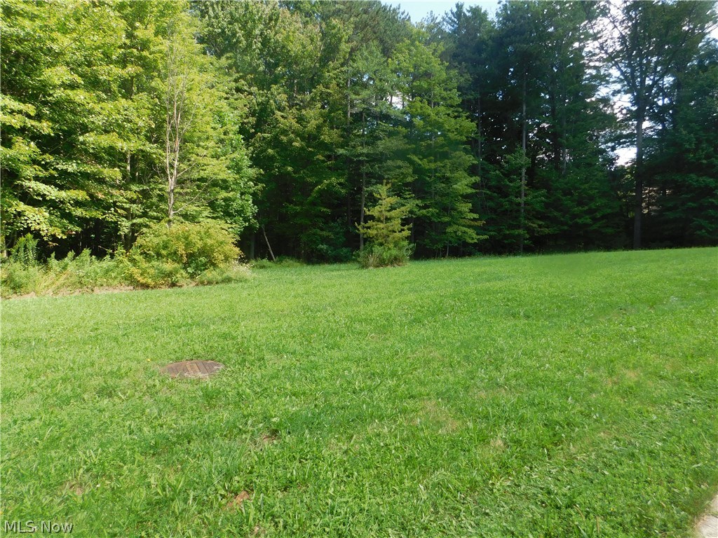 Woods/Arbor Glen - Land